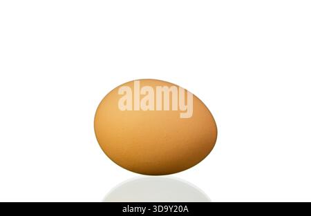 Un uovo grande è seduto su uno sfondo bianco. L'uovo è marrone e ha una consistenza liscia Foto Stock