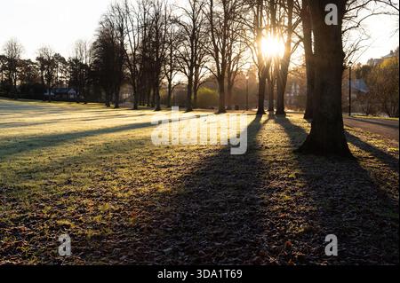 Gelo di prima mattina e lunghe ombre di alberi attraverso l'erba nel Shrewsbury Park accanto al fiume Severn, Shrewsbury, in una mattinata d'inverno brillante. Foto Stock