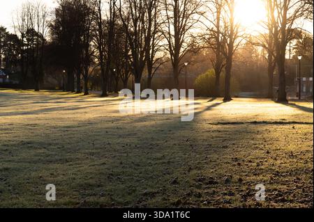 Gelo di prima mattina e lunghe ombre di alberi attraverso l'erba nel Shrewsbury Park accanto al fiume Severn, Shrewsbury, in una mattinata d'inverno brillante. Foto Stock