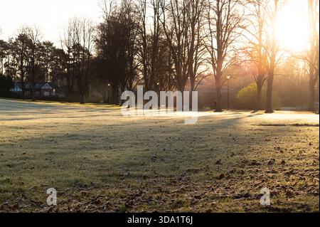 Gelo di prima mattina e lunghe ombre di alberi attraverso l'erba nel Shrewsbury Park accanto al fiume Severn, Shrewsbury, in una mattinata d'inverno brillante. Foto Stock