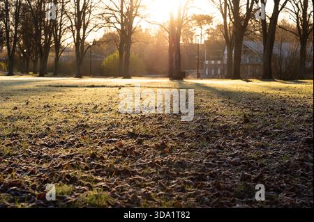 Gelo di prima mattina e lunghe ombre di alberi attraverso l'erba nel Shrewsbury Park accanto al fiume Severn, Shrewsbury, in una mattinata d'inverno brillante. Foto Stock