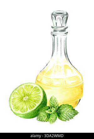Decanter di vetro o flagone o caraffa di gustosa bevanda fatta in casa alla menta di lime, bevanda alcolica, liquore. Illustrazione ad acquerello disegnata a mano isolata su bianco Foto Stock