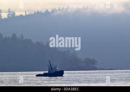 Un rimorchiatore che viaggia nelle prime ore del mattino sullo stretto di Georgia al largo della costa dell'Isola di Vancouver Columbia Britannica Canada Foto Stock