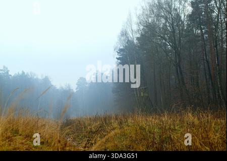 Misty Forest Hunting Tower. Un paesaggio di foresta nebbiosa con una torre di caccia ai margini della foresta. Calmo paesaggio autunnale con erba alta, morbida nebbia e tranquillità Foto Stock