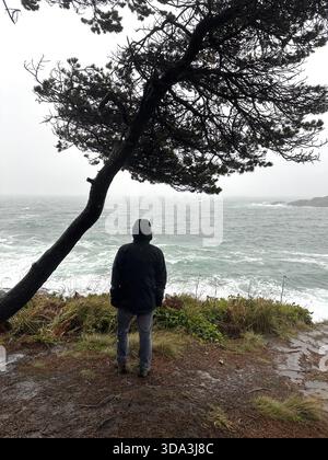 Un uomo visto da dietro che guarda l'acqua turbolenta durante l'alta marea a Depoe Bay, Oregon. Foto Stock