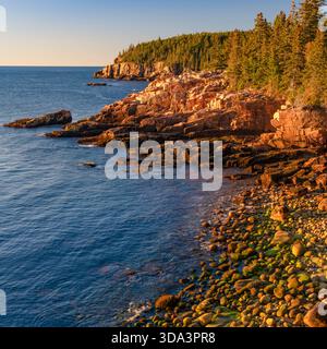Monument Cove Sunrise, Acadia National Park, Maine Foto Stock