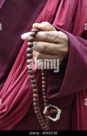 Dettaglio della mano di un monaco buddista che regge un rosario, Bhutan Foto Stock