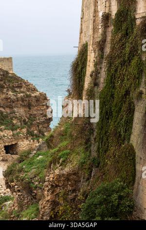 una stretta vista verticale di antiche mura di pietra ricoperte di lussureggiante edera verde e muschio, torreggiante su aspre scogliere costiere e una tranquilla e turchese adriatico Foto Stock