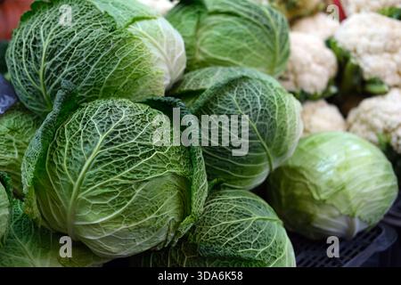 Vista ravvicinata dei verdeggianti cavoli della savoia con foglie increspate impilate insieme in una banchina del mercato, luce naturale, profondità di campo poco profonda. Foto Stock