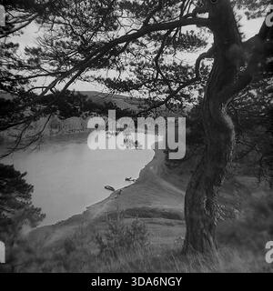 Villaggio di Bohorodychne, regione di Donetsk, RSS Ucraina, URSS - 1970: Una vista panoramica ad alto angolo del tortuoso fiume Seversky Donets visto attraverso i rami di vecchi pini su una ripida scogliera. Piccole barche a remi in legno sono ormeggiate sulla riva sabbiosa del fiume vicino ad un ponte di pontone distante. Questa suggestiva foto d'archivio in bianco e nero cattura la bellezza naturale mozzafiato e il tranquillo paesaggio della regione del Donbass durante l'era sovietica. Attività ricreative estive nella zona delle Holy Mountains. Foto Stock