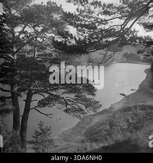 Villaggio di Bohorodychne, regione di Donetsk, RSS Ucraina, URSS - 1970: Una vista panoramica ad alto angolo del tortuoso fiume Seversky Donets visto attraverso i rami di vecchi pini su una ripida scogliera. Piccole barche a remi in legno sono ormeggiate sulla riva sabbiosa del fiume vicino ad un ponte di pontone distante. Questa suggestiva foto d'archivio in bianco e nero cattura la bellezza naturale mozzafiato e il tranquillo paesaggio della regione del Donbass durante l'era sovietica. Attività ricreative estive nella zona delle Holy Mountains. Foto Stock