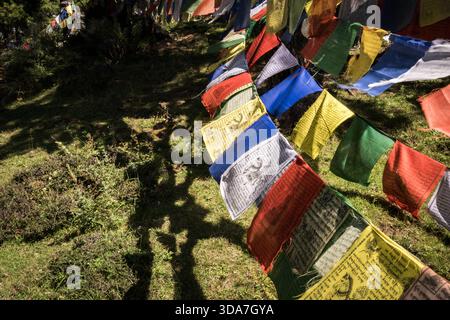 Vista delle vibranti bandiere di preghiera che sventolano nella brezza, proiettano ombre danzanti sul terreno erboso, una scena serena nel passo di Kikila, Bumthang, Bhutan. Foto Stock