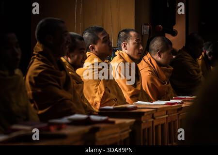 Paro, Bhutan - 17 settembre 2025: Vista dei monaci del monastero di Sangchekhor, rivestiti di vibranti vesti di zafferano, seduti in file solenni, i loro volti illuminati Foto Stock