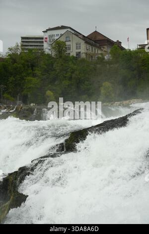 Le potenti Cascate del Reno in Svizzera, la più grande cascata pianeggiante d'Europa, piovono di acqua bianca. Foto Stock