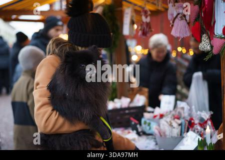 Örebro, Närke - Svezia, 12-09-2025 donna con un cane nero della pomerania al mercatino di natale di Wadköping. Foto Stock