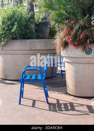 Tradizionale sedia in metallo blu sul Boulevard de la Croisette a Cannes, accanto a grandi piantagioni con palme e fiori al sole del pomeriggio Foto Stock