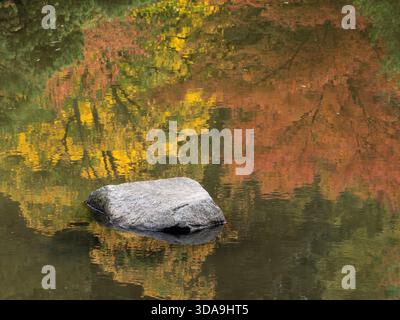 WA26781-00..... WASHINGTON - Pond Reflections, Seattle Japanese Garden. Foto Stock