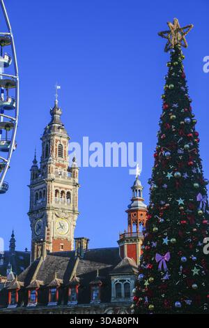 Ruota panoramica e albero di Natale in Place du General de Gaulle, la vecchia Borsa, nel Belfry posteriore della camera di commercio e industria, BEF Foto Stock