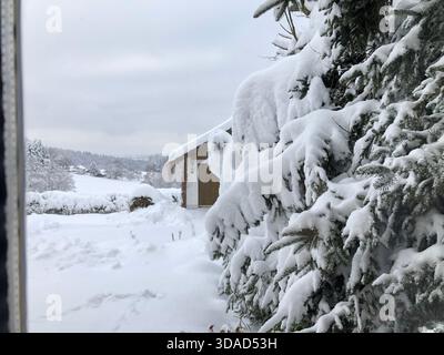 Una cabina solitaria sbircia attraverso una parete di rami sempreverdi carichi di neve, mezzo sepolti in una vasta e silenziosa natura selvaggia invernale. Foto di Willy Matheisl Foto Stock