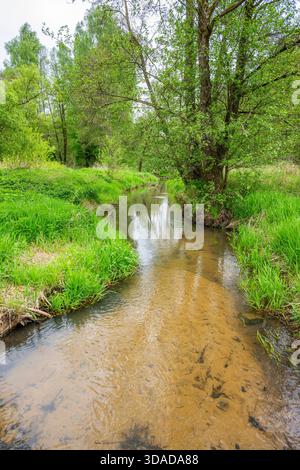 Piccolo torrente in primavera, Germania, Baviera Foto Stock