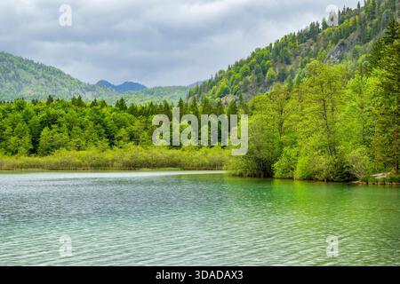 lago Offensee in primavera, Austria, alta Austria, Salzkammergut Foto Stock