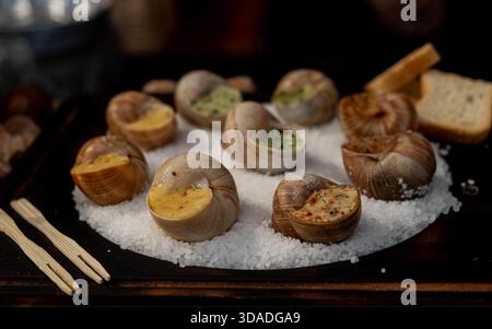 lumache commestibili con ripieno su un vassoio di legno con sale. Sfocatura e messa a fuoco selettiva. Bella presentazione del piatto Foto Stock