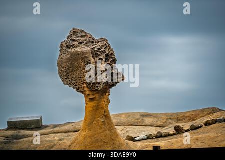Queste formazioni rocciose di funghi uniche sono una popolare destinazione turistica nel nord di Taiwan. Foto Stock