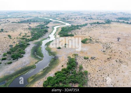 Un'antenna di un delta dell'Okavango durante una stagione secca nella riserva di Moremi, Botswana Foto Stock