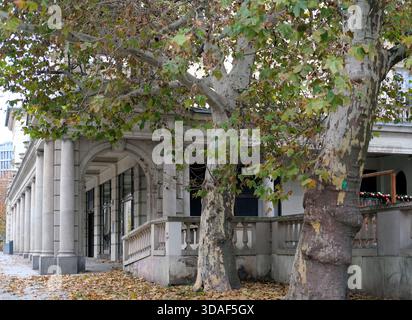 Vista media della facciata dell'edificio in pietra con colonne e aperture ad arco, tronchi e rami in primo piano, foglie autunnali cadute a terra. Foto Stock