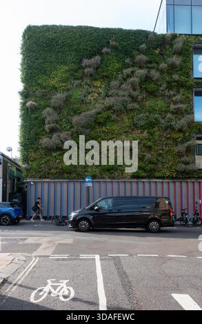 Living Wall, edificio ricoperto di verde fogliame a Camden Town, Londra, Inghilterra Foto Stock
