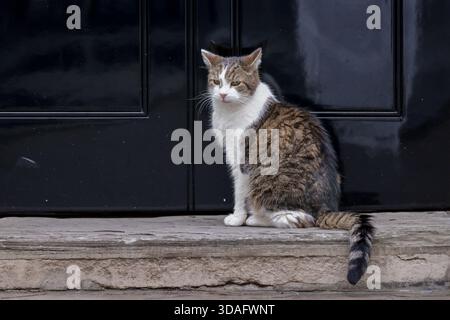 Londra, Regno Unito. 8 dicembre 2025. Larry, il capo Mouser dell'Ufficio del Gabinetto, visto fuori al 10 di Downing Street a Londra. (Credit Image: © Dinendra Haria/SOPA Images via ZUMA Press Wire) SOLO PER USO EDITORIALE! Non per USO commerciale! Foto Stock