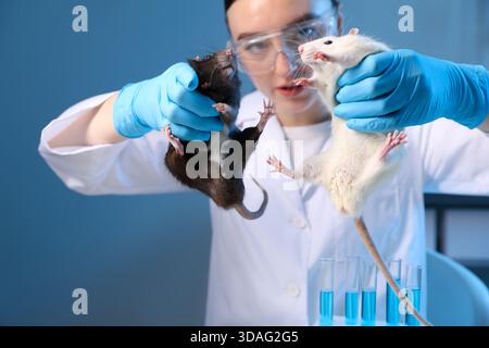 Scienziato che lavora con topi carini in laboratorio, primo piano Foto Stock