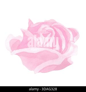 Una rosa rosa. L'immagine isolata viene eseguita in un semplice stile acquerello. Il disegno viene eseguito in una tavolozza limitata. Questa illustrazione floreale è ben S Foto Stock