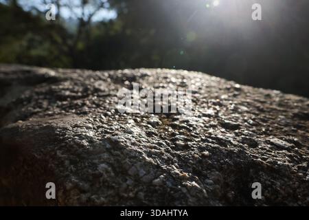 Sereno primo piano di scintillanti superfici rocciose con consistenza ruvida, illuminata dalla calda luce del sole in un ambiente naturale di foresta. sfondo tranquillo e sfocato Foto Stock