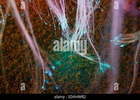 Sfondo etereo astratto che mostra una rete magica e vibrante di luce e fibra luminosa. Questa misteriosa, colorata e surreale immagine macro ha fanta Foto Stock