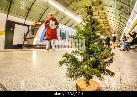 Weihnachtsstimmung im U-Bahnhof Odeonsplatz, Fahrgast transportiert seinen frisch gekauften kleinen Christbaum mit der U-Bahn heim, einfahrende U-Bahn, München, Dezember 2025 Deutschland, München, Dezember 2025, Weihnachtsstimmung im U-Bahnhof Odeonsplatz, Fahrgast transportiert seinen frisch gekauften kleinen Christbaum mit der U-Bahn heim, HAT ihn kurz auf dem Boden abgestellt, einfahrende U-Bahn Linie U5, Öffentlicher am Bahnsteig, MVG, U-Bahnhof Odesplatz, nahlatz, Fahrgäste, nahlatz, Nahnachtsstimmung,-Bahnkehr ÖPNV, Weihnachtszeit, Bayern, bayerisch, *** atmosfera natalizia alla stazione della metropolitana di Odeonsplatz, tran passeggeri Foto Stock