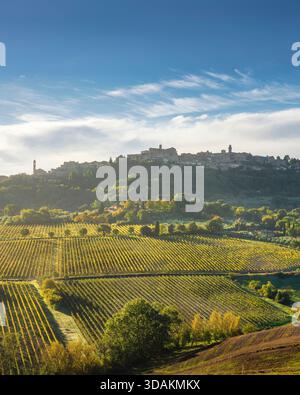 Vista verticale della città collinare di Montepulciano, Toscana, Italia, all'alba. Lo skyline medievale si affaccia sui vigneti terrazzati in aut dorata Foto Stock