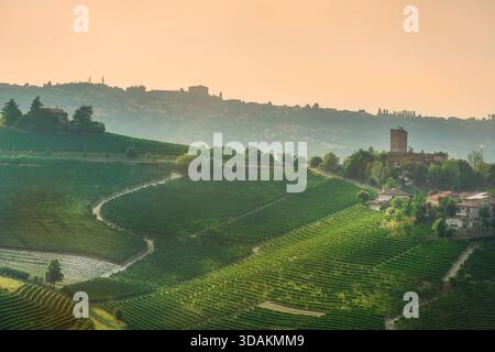 Vista dell'ora d'oro delle dolci colline delle Langhe, Piemonte, Italia. Vigneti terrazzati in primo piano, che conducono alla torre del Barbaresco e al grattacielo Foto Stock