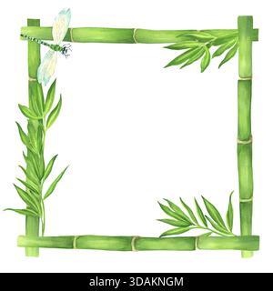 Cornice quadrata di steli e foglie di bambù verde e libellula. Cornice floreale circolare. Clipart del giardino cinese. Illustrazione ad acquerello disegnata a mano per asiatici Foto Stock