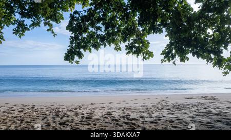 Calmo e ampio panorama dell'oceano blu e della spiaggia sabbiosa, incorniciato in cima da una tettoia scura di foglie di alberi tropicali contro un cielo luminoso. Foto Stock
