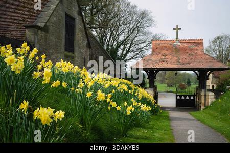 I narcisi gialli fioriti fiancheggiano l'ingresso della chiesa di San Marco con una croce sull'ingresso con cancello piastrellato in estate. South Dalton, Regno Unito. Foto Stock