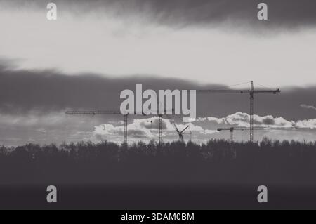 Fotografia in bianco e nero che mostra diverse gru da cantiere sopra Una fila di alberi sotto Una spettacolare copertura di nuvole - un'impressionante rappresentazione di Un moderno Foto Stock