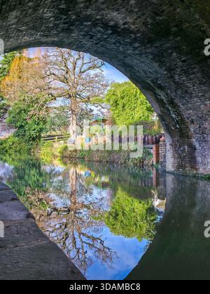 Perfetto riflesso circolare degli alberi autunnali e del ponte sul canale visto attraverso uno storico arco di pietra sul canale Stroudwater, Stroud, Cotswolds, Foto Stock