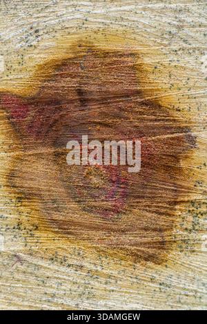 Foto macro che cattura la texture dettagliata di una superficie in legno intemprata, caratterizzata da un nodo scuro prominente e linee di grana vorticose. L'immagine mostra Foto Stock