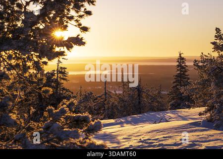 Vista delle travi di sole che penetrano tra alberi carichi di neve, proiettando un caldo bagliore sul lontano paesaggio ghiacciato in inverno, Kuusamo, Ostrobotnia settentrionale, fin Foto Stock