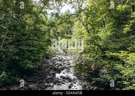 Ruscello della foresta rocciosa circondato da lussureggianti alberi verdi al Parc des Chutes de la Petite Riviere Bostonnais, Quebec Foto Stock