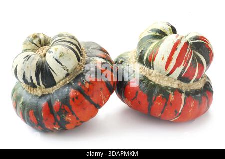 Cibo, Turban squash isolato su bianco Foto Stock