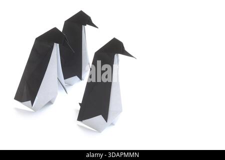 Tre pinguini di carta isolati su bianco Foto Stock