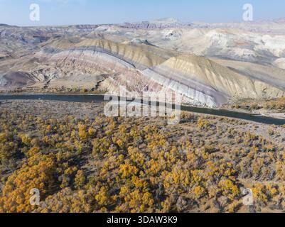 Vista aerea di un fiume che serpeggia attraverso il fogliame autunnale, contrastando con le formazioni geologiche a strati e multicolore in lontananza, Crowheart, Wyoming Foto Stock