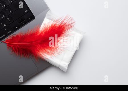 Immagine simbolica di una piuma rossa su un cuscinetto sanitario posizionato sopra un laptop. Questa rappresentazione visiva enfatizza le mestruazioni nel contesto moderno Foto Stock